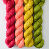 Scarlet Pimpernel, Correa, Cumin, Dragon Claw - Miss Babs Yowza Mini Quartet