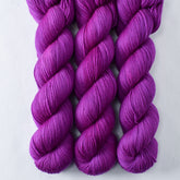 Scorpio - Miss Babs Yummy 2-Ply superwash Merino wool yarn