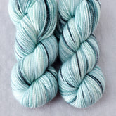 Sea Life - Miss Babs Yummy 2-Ply Toes superwash Merino wool yarn