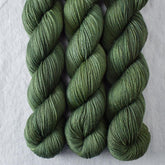Sempervirens - Miss Babs Putnam Merino wool and nylon sock yarn
