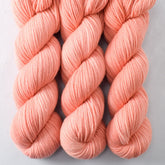 Shell Shock - Miss Babs Intrepid yarn