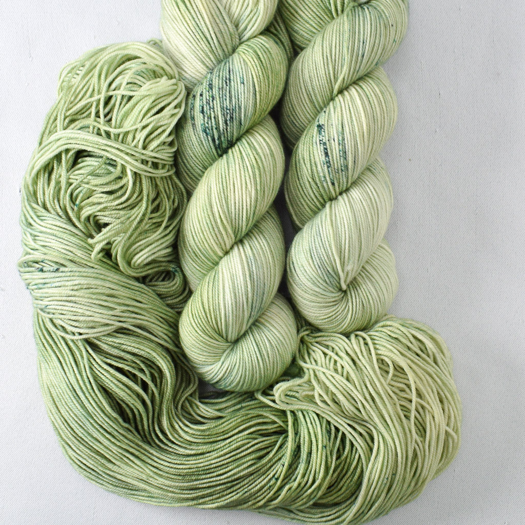 Silver Palm - Miss Babs Laurel Falls yarn