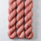Slot Canyon - Miss Babs Yowza Mini superwash Merino wool yarn