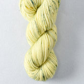 Smallmouth Bass - Miss Babs Yummy 2-Ply Toes superwash Merino wool yarn