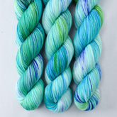 Smurf and Turf - Miss Babs Putnam Merino wool and nylon sock yarn