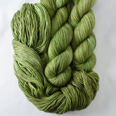 Snail - Miss Babs Laurel Falls yarn