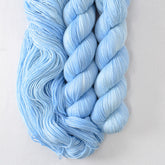 Social Butterfly - Miss Babs Tarte wool blend sock yarn