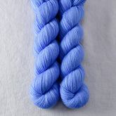 Spaghettification - Miss Babs Yummy 2-Ply superwash Merino wool yarn