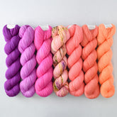 Special Edition 1006 - Miss Babs Yummy 2-Ply Fade Set