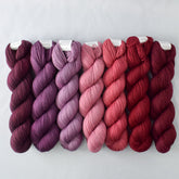 Special Edition 1031 - Miss Babs Yummy 2-Ply Fade Set