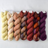 Special Edition 1136 - Miss Babs Yummy 2-Ply Fade Set