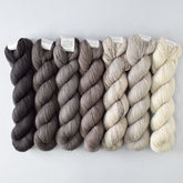 Special Edition 1203 - Miss Babs Yummy 2-Ply Fade Set