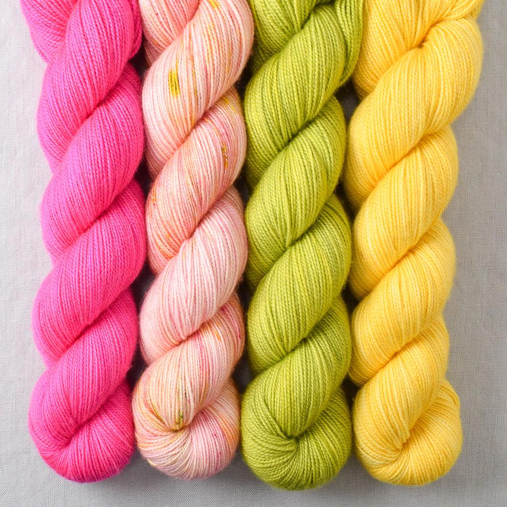 Special Edition 233 - Miss Babs Yummy 2-Ply Quartet