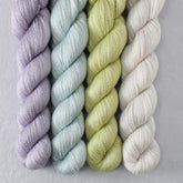 Special Edition 24 - Miss Babs Yet Quartet