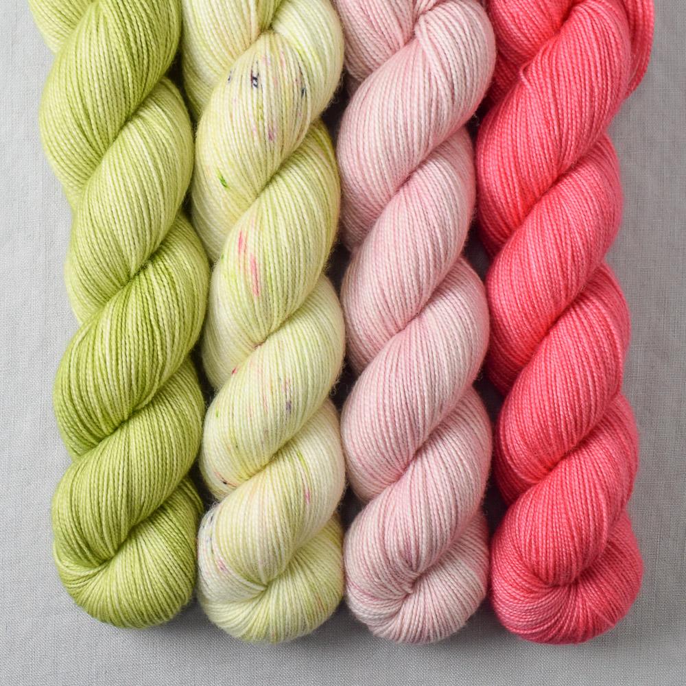 Special Edition 245 - Miss Babs Yummy 2-Ply Quartet