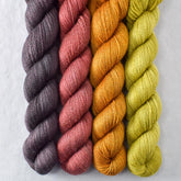 Special Edition 40 - Miss Babs Yet Quartet