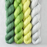 Special Edition 63 - Miss Babs Yet Quartet