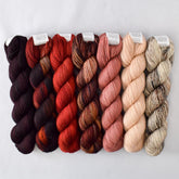 Special Edition 901 - Miss Babs Yummy 2-Ply Fade Set