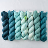 Special Edition 996 - Miss Babs Yummy 2-Ply Fade Set