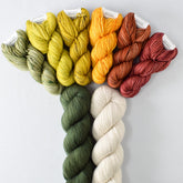 Spice it Up with Sempervirens and White Peppercorn - Miss Babs Slowly Drifting Set