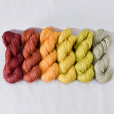 Spice Market - Gradient Set