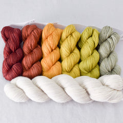 Spice Market Gradient Set and White Peppercorn Yummy 2-Ply - Shawl Set