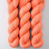 Spicy Papaya - Miss Babs Avon yarn