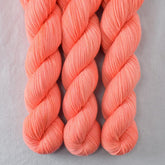 Spicy Papaya - Miss Babs Putnam Merino wool and nylon sock yarn
