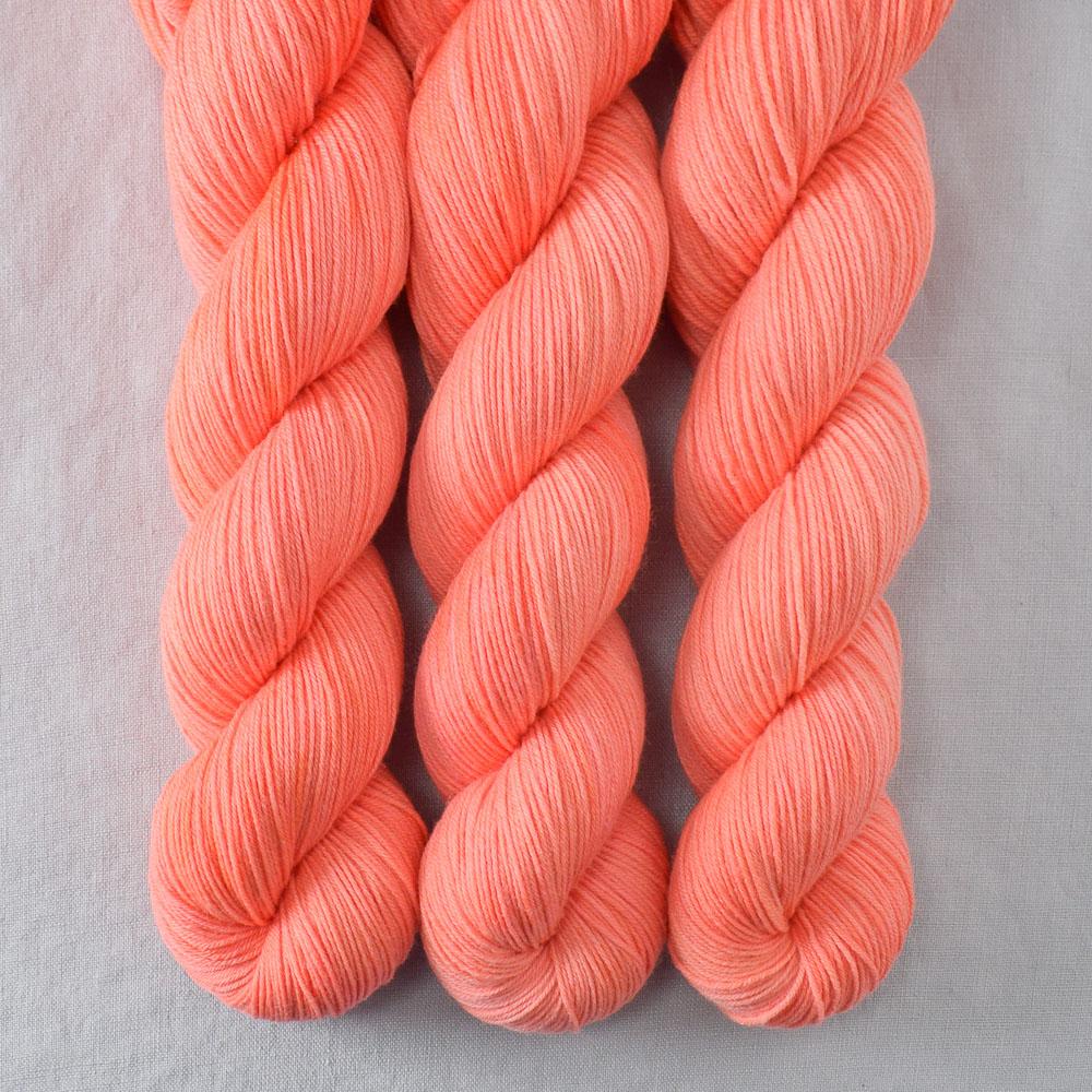 Spicy Papaya - Miss Babs Putnam Merino wool and nylon sock yarn