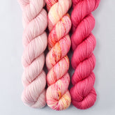 Spotted Flowers, Sugar, Sweet Pea - Miss Babs Yowza Mini Trio