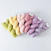 Spring Fling - Gradient Set