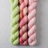 Spring Flowers, Spring Green, Sugar - Miss Babs Yowza Mini Trio