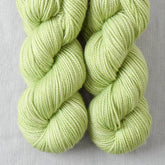 Spring Green - Miss Babs Yummy 2-Ply Toes superwash Merino wool yarn