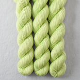 Spring Lettuce - Miss Babs Yowza Mini superwash Merino wool yarn