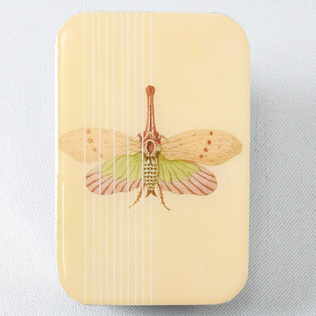 Spring Moth Tin - Miss Babs Notions