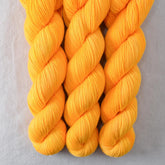 Squash Blossom - Miss Babs Putnam Merino wool and nylon sock yarn