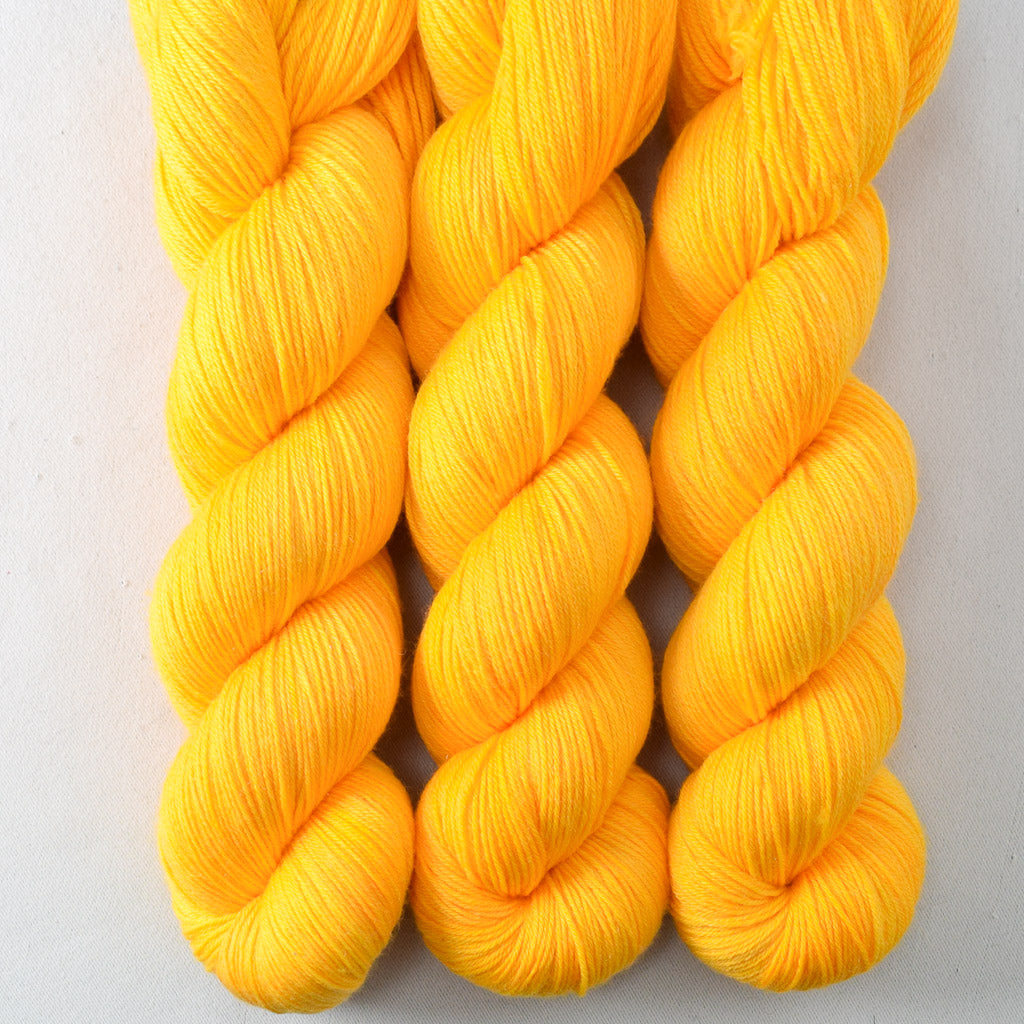 Squash Blossom - Miss Babs Tarte wool blend sock yarn