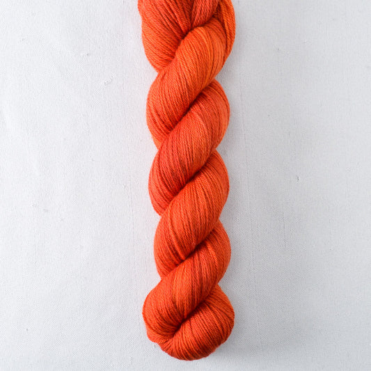 Starr - Miss Babs Caroline yarn