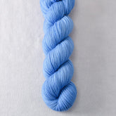 Stearns Wharf - Miss Babs Yummy 2-Ply superwash Merino wool yarn