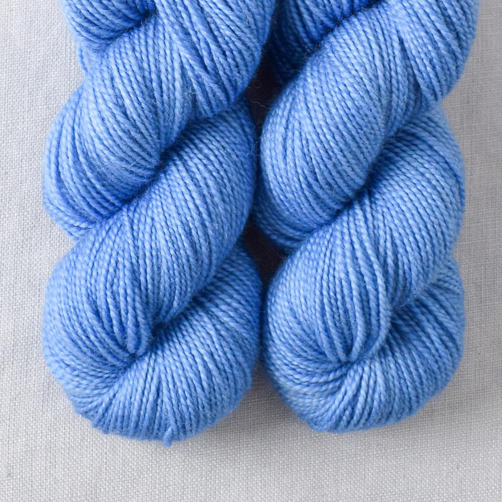Stearns Wharf - Miss Babs Yummy 2-Ply Toes superwash Merino wool yarn
