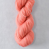 Strawberry Thief - Miss Babs Yummy 2-Ply Toes superwash Merino wool yarn