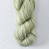 String of Hearts - Miss Babs Yummy 2-Ply Toes superwash Merino wool yarn