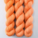 Sugar Maple 3 - Miss Babs Yummy 2-Ply superwash Merino wool yarn
