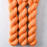 Sugar Maple 3 - Miss Babs Yowza Mini superwash Merino wool yarn