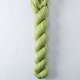 Sugar Maple 7 - Miss Babs Yowza Mini superwash Merino wool yarn