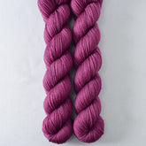 Sunvillea - Miss Babs Yowza Mini superwash Merino wool yarn