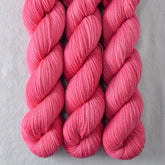 Sweet Pea - Miss Babs Putnam Merino wool and nylon sock yarn