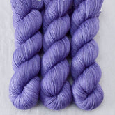 Taygeta - Miss Babs Katahdin 437 superwash BFL wool yarn