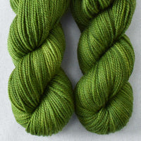 Terrapin Station 3 - Miss Babs 2-Ply Toes yarn