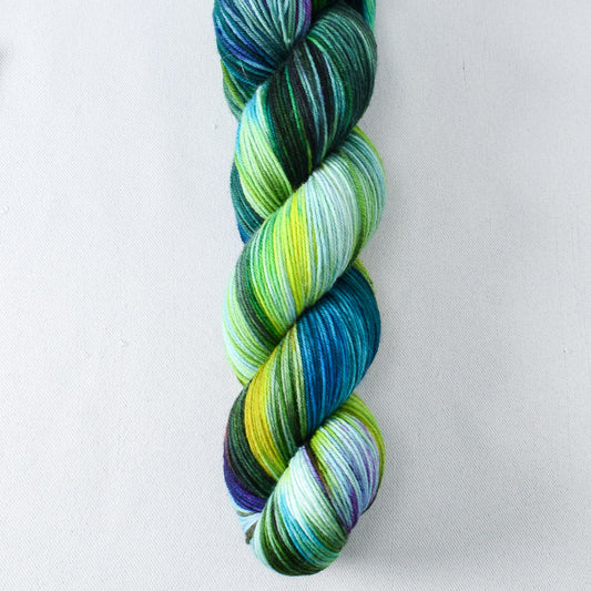 Timbo - Miss Babs Putnam yarn